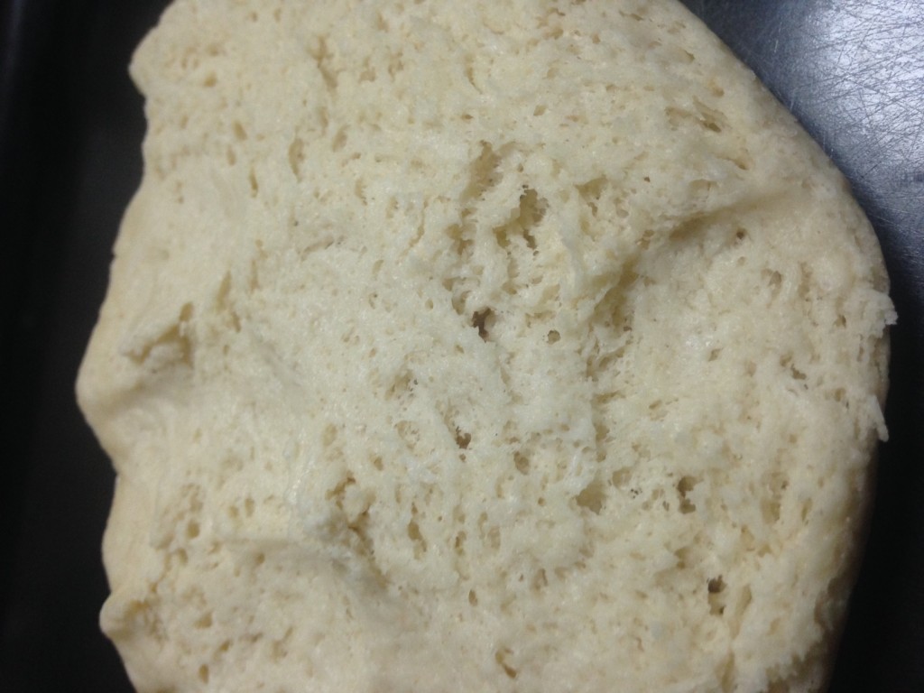 masa pizza fermentada